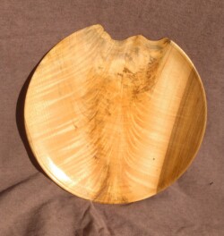 Plate by Andy Schuster