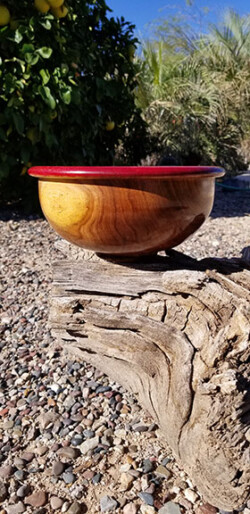 Chilean Mesquite Jewelry Caddy by Dane