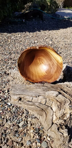 Chilean Mesquite Jewelry Caddy by Dane
