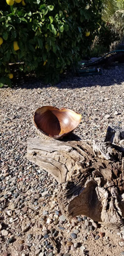 Chilean Mesquite Jewelry Caddy by Dane