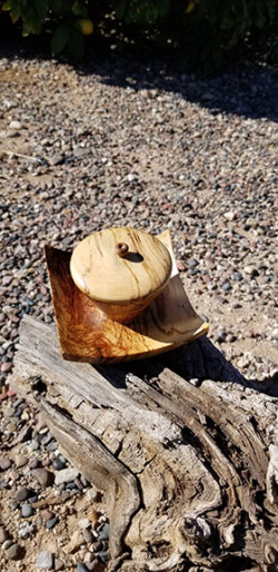Spalted Elm Jewelry Caddy by Dane