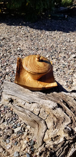 Spalted Elm Jewelry Caddy by Dane