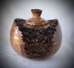 Burl Box by Van Frazier