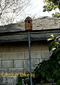 Birdhouse by Gordon Pike