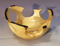 Cut-away Bowl by Matt Harber