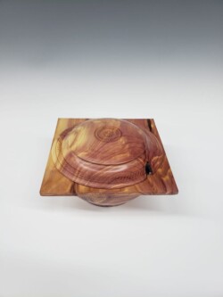 Box by Patrick Hoggard