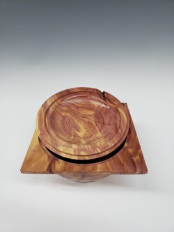 Box by Patrick Hoggard